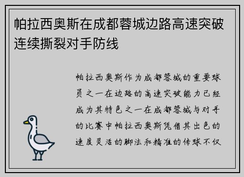 帕拉西奥斯在成都蓉城边路高速突破连续撕裂对手防线
